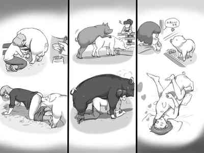 第40页图