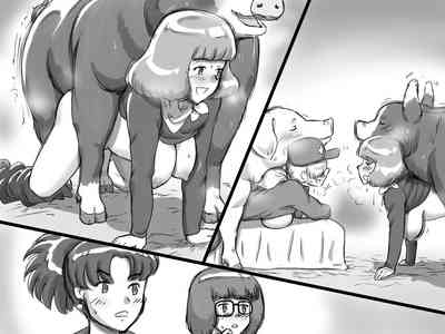 第48页图