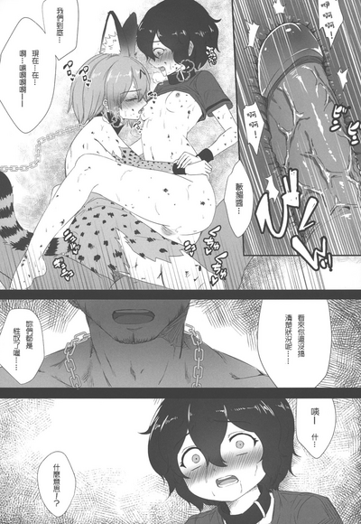 第8頁圖