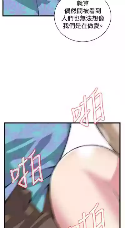 第528頁圖