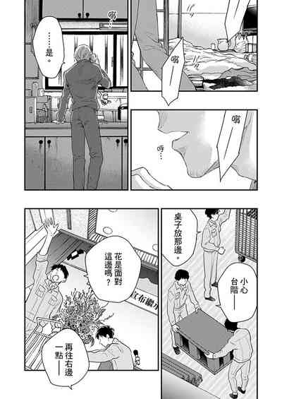 第204页图