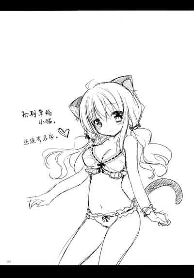 第4页图