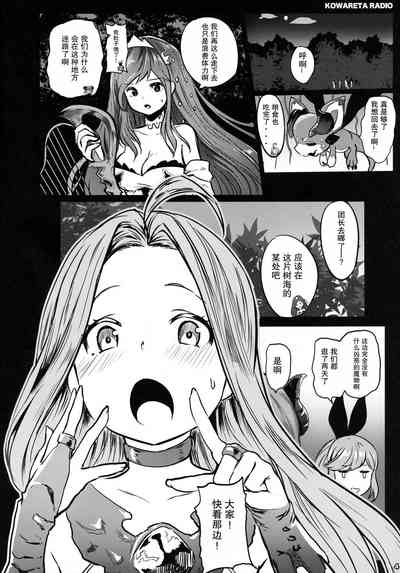 第4页图