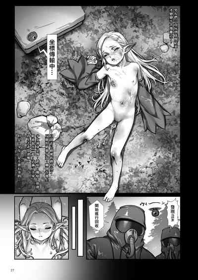 第28頁圖
