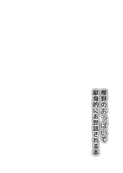 第4页图