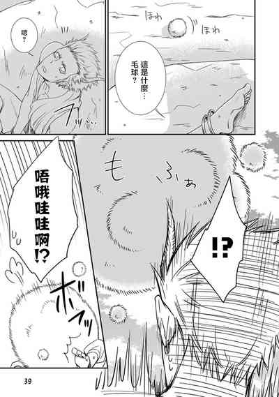 第40页图