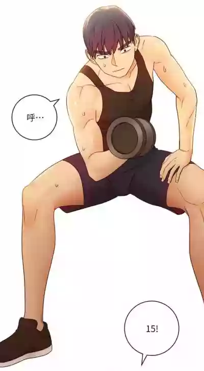 第376頁圖