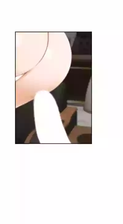 第376頁圖