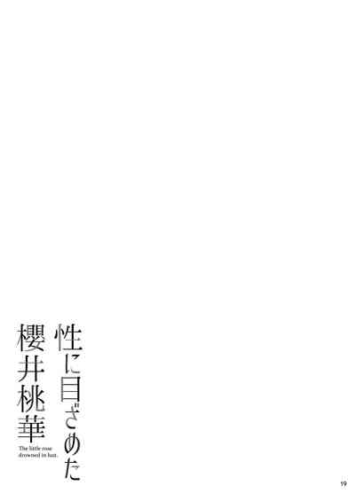 第20页图