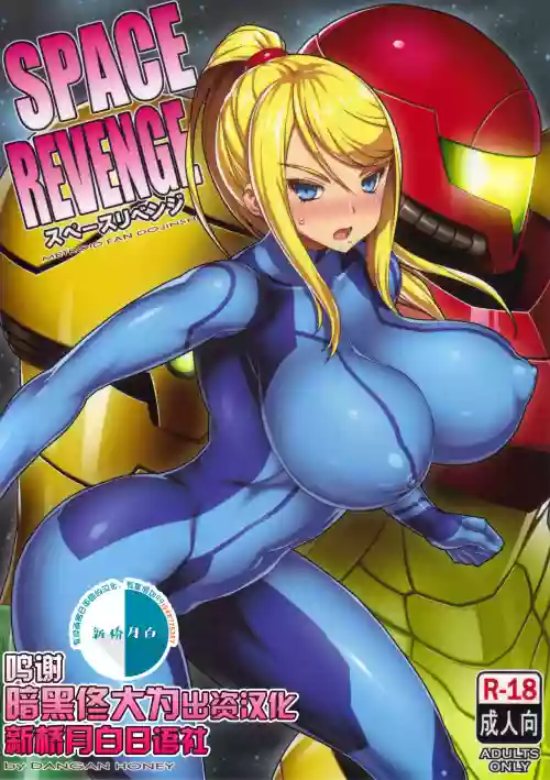 SPACE REVENGE 封面 - HaSM.cc
