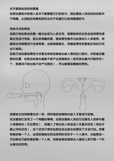 第216頁圖