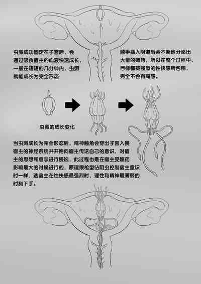第220頁圖