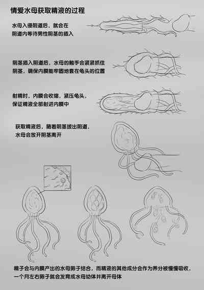 第224頁圖