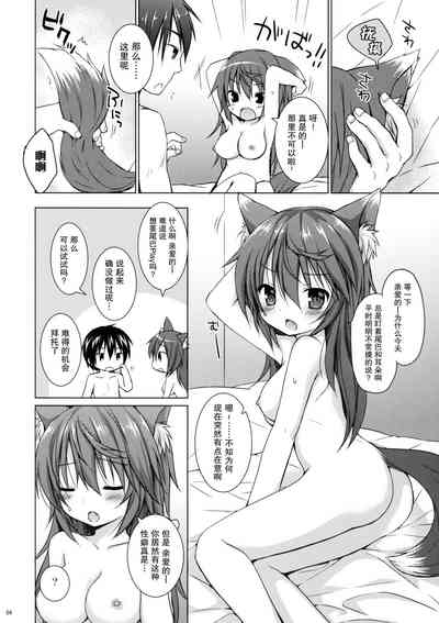 第4页图