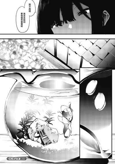 第204頁圖