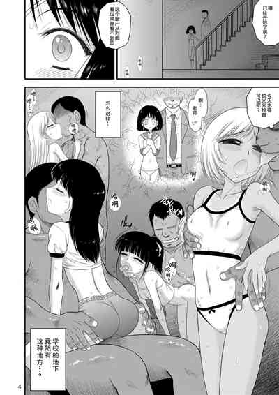 第4页图