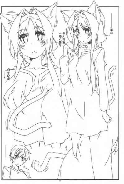 第20页图