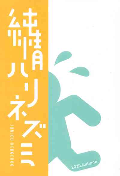 第20页图