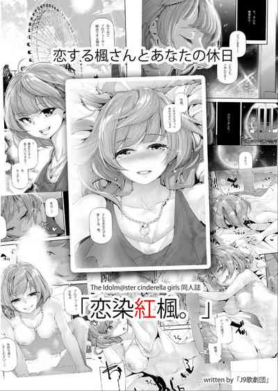 第28頁圖