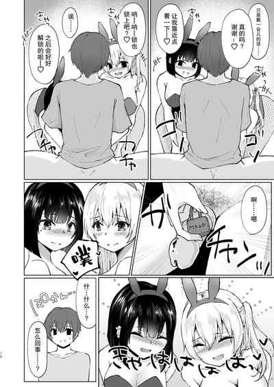 第12页图