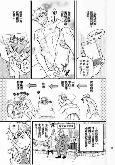 第84页图