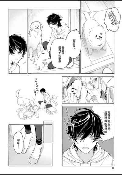 第48頁圖