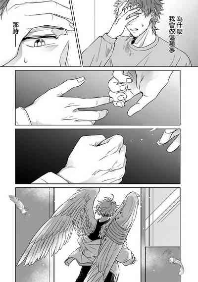 第68頁圖