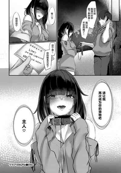 第16页图