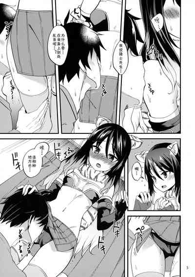 第4页图