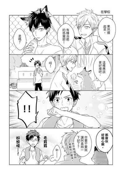 第556頁圖
