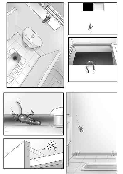 第276頁圖