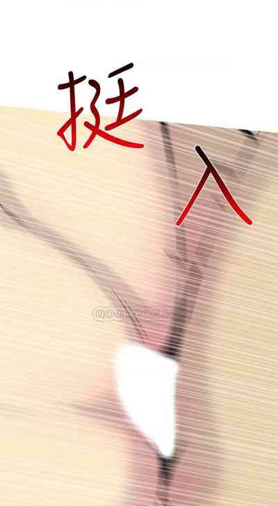 第204頁圖