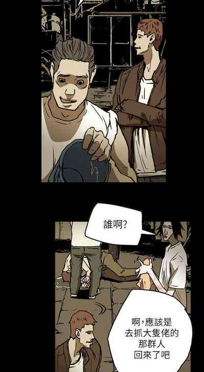 第248頁圖