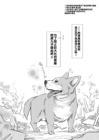 第20頁圖