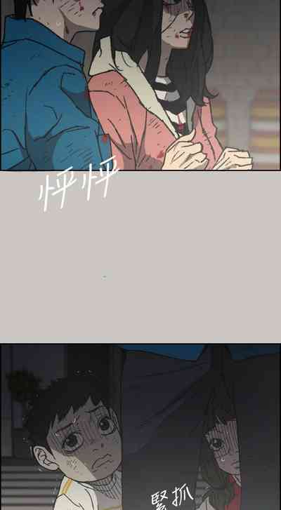 第336頁圖