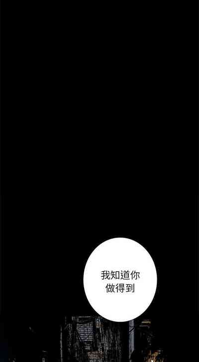 第244页图