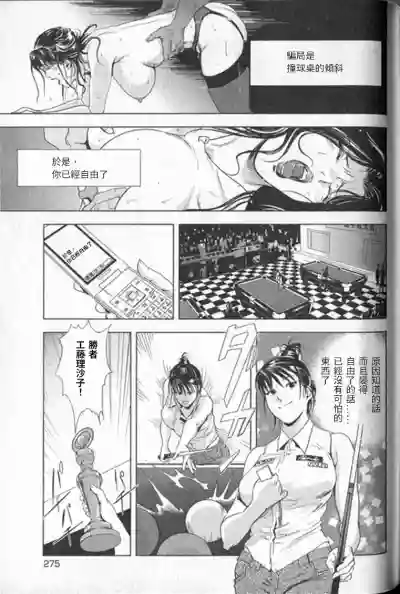 第276頁圖