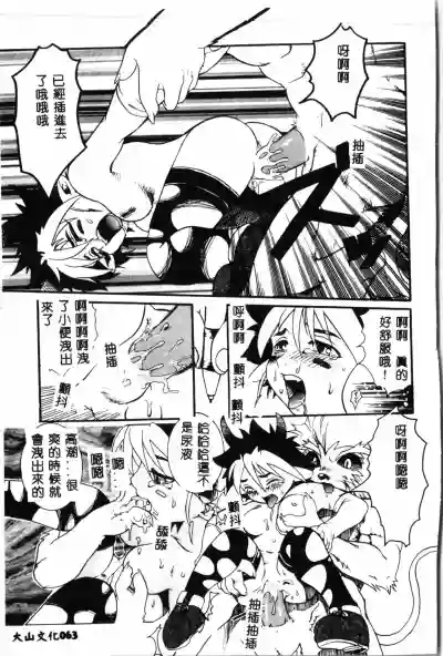 第64頁圖