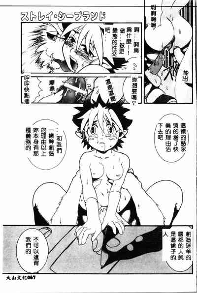 第68頁圖