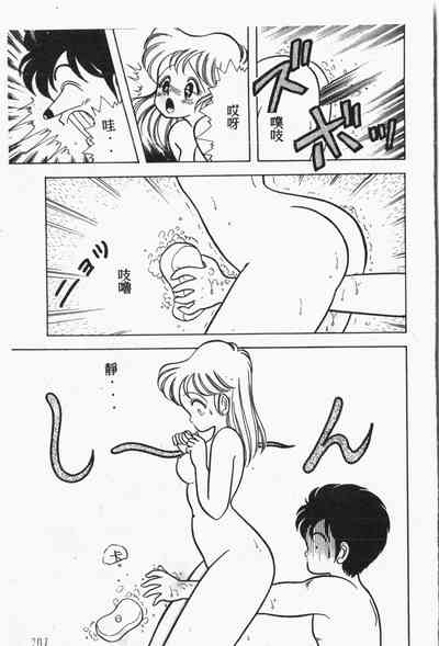 第208頁圖
