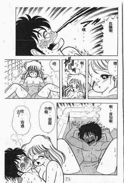 第216頁圖