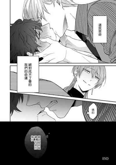 第224頁圖