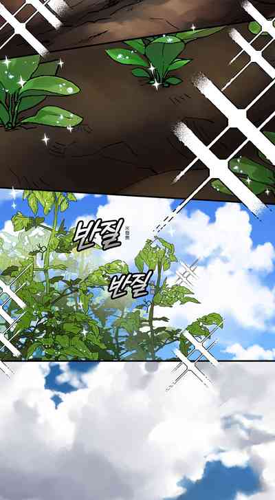 第44頁圖