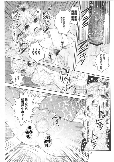 第24頁圖
