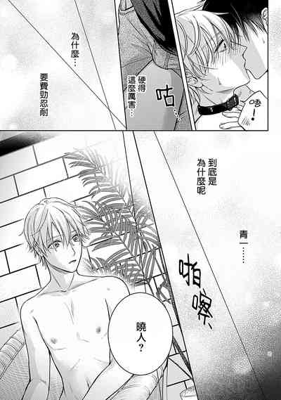 第20頁圖