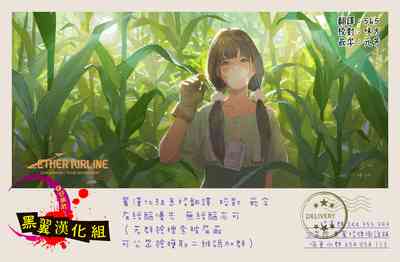 第28頁圖