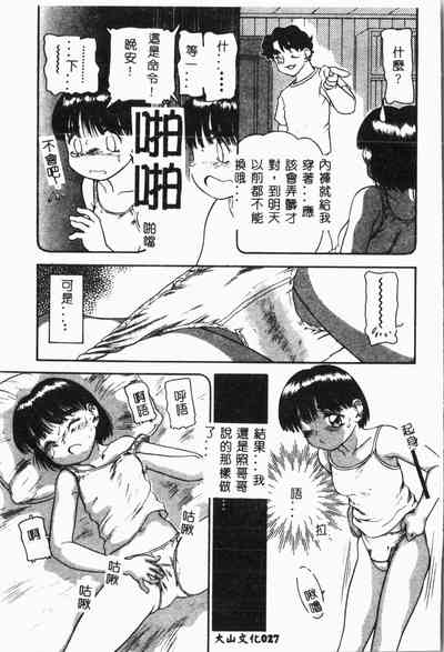 第28頁圖