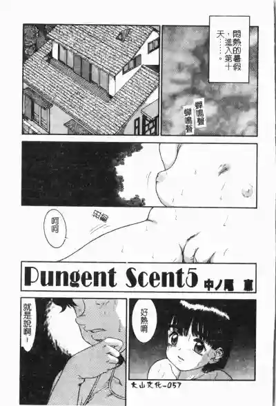 第60頁圖