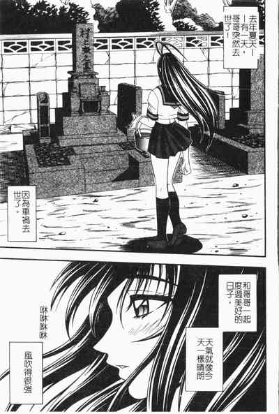 第148頁圖