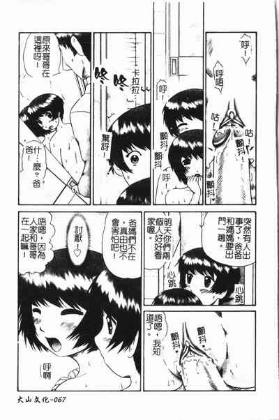 第68頁圖
